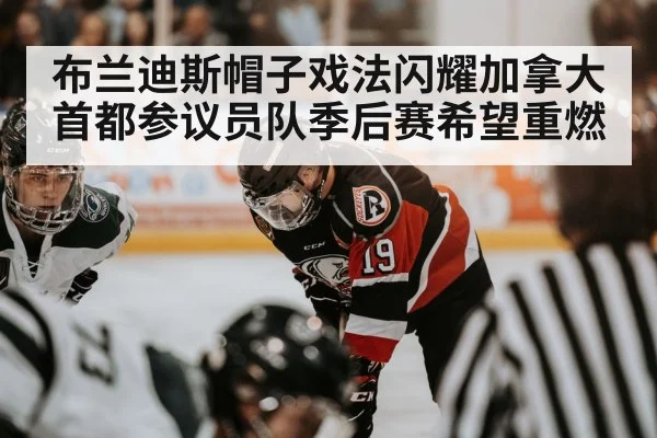 布兰迪斯帽子戏法闪耀加拿大首都参议员队季后赛希望重燃