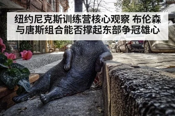 纽约尼克斯训练营核心观察 布伦森与唐斯组合能否撑起东部争冠雄心