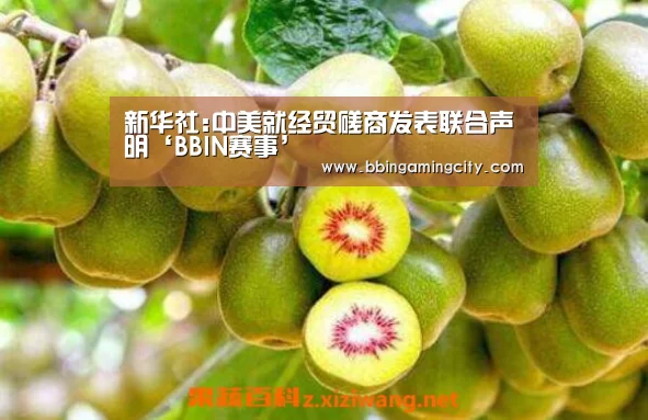BBIN赛事